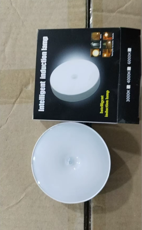 USB Rechargeable Motion Sensor LED Light