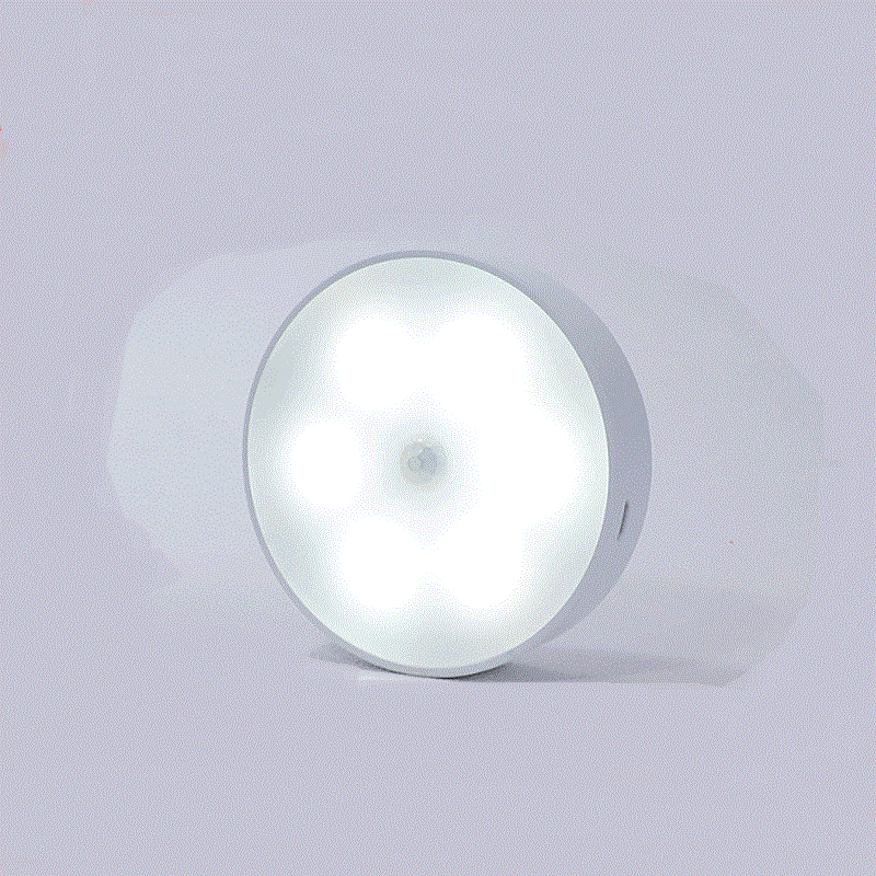 USB Rechargeable Motion Sensor LED Light